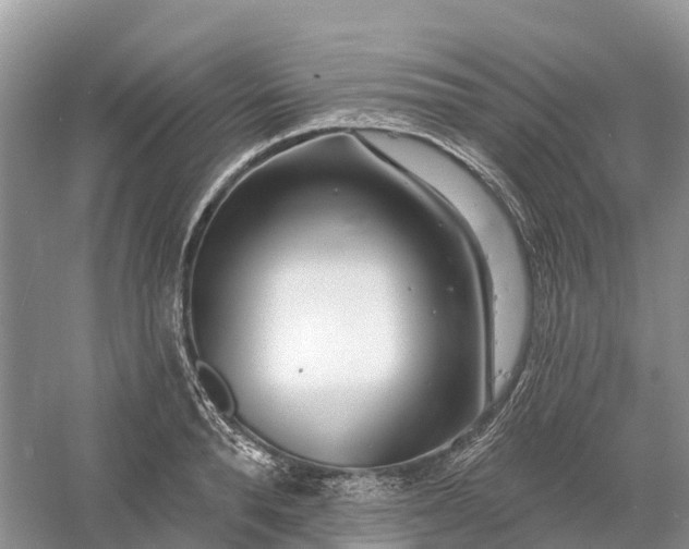 X0000060580896200511171654