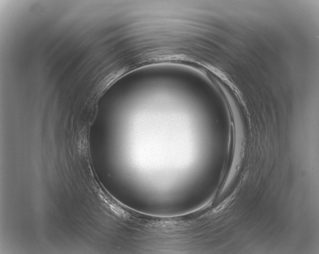 X0000060580897200511171654