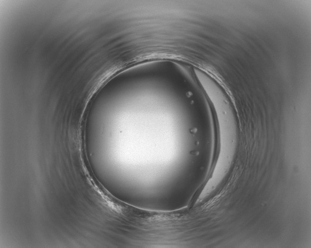 X0000060580898200511171654