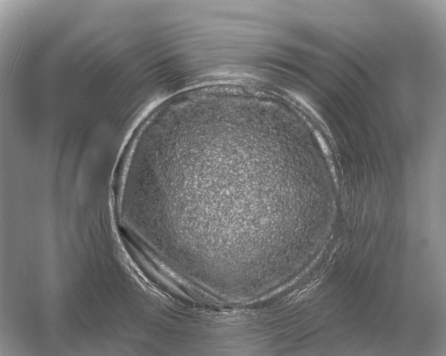 X0000060580899200511171654