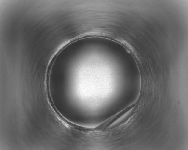 X0000060580902200511171654