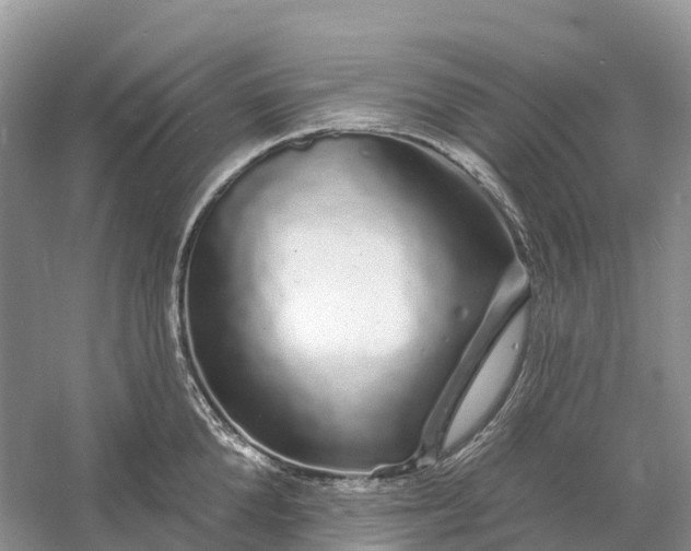 X0000060580904200511171654