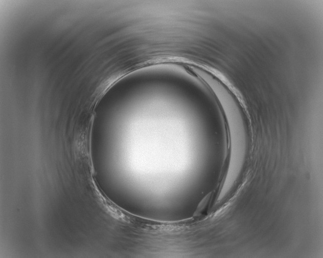 X0000060580905200511171654