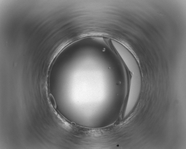 X0000060580906200511171654