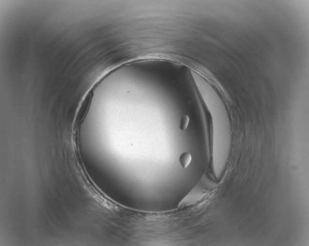 X0000060580908200511171654