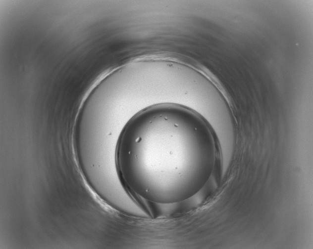 X0000060580909200511171654