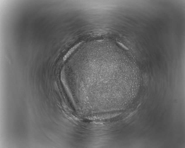 X0000060580913200511171653