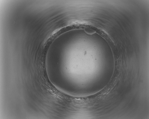 X0000060580919200511171653