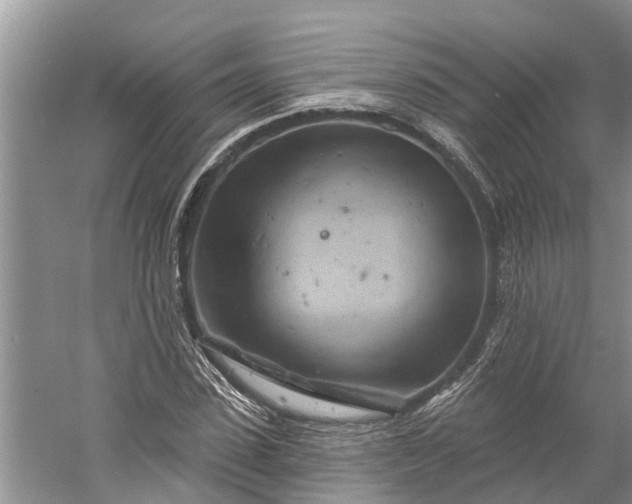 X0000060580923200511171653