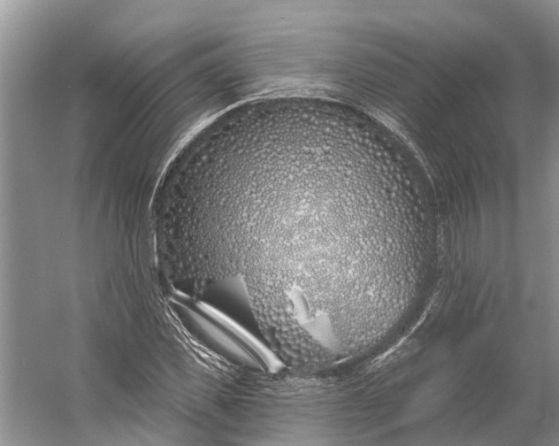 X0000060580925200511171653