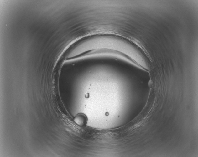 X0000060580926200511171653