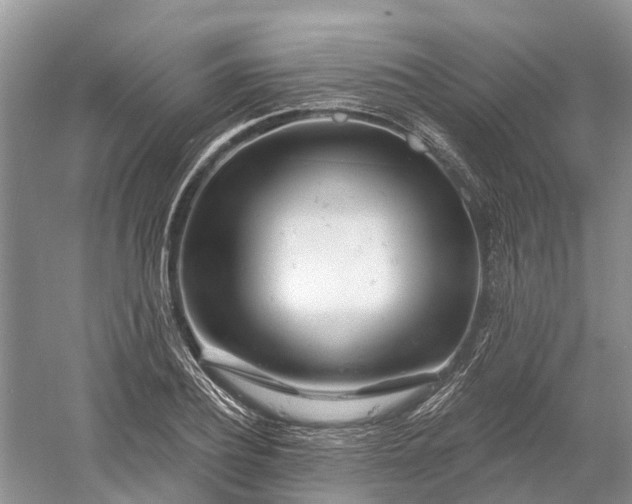 X0000060580932200511171653