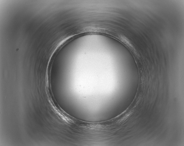 X0000060580940200511171654