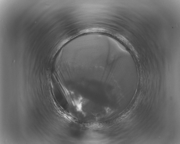 X0000060580945200511171654