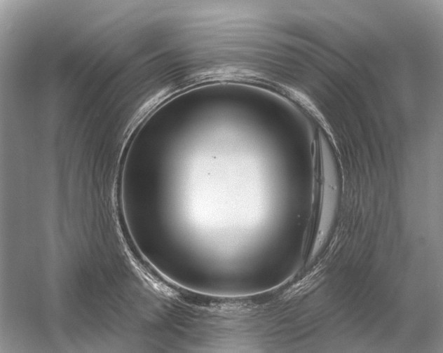 X0000060580946200511171654