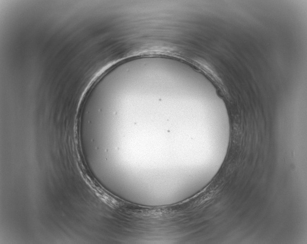 X0000060580948200511171654