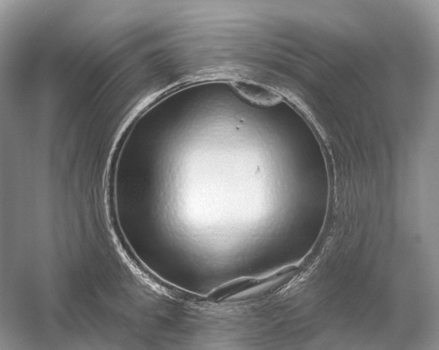 X0000060580949200511171654