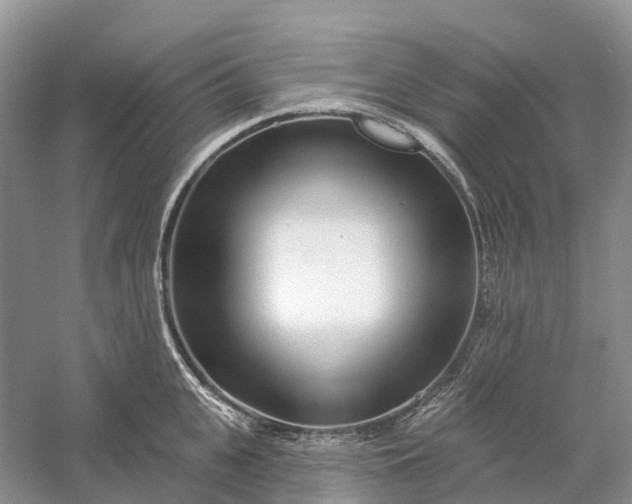 X0000060580951200511171654