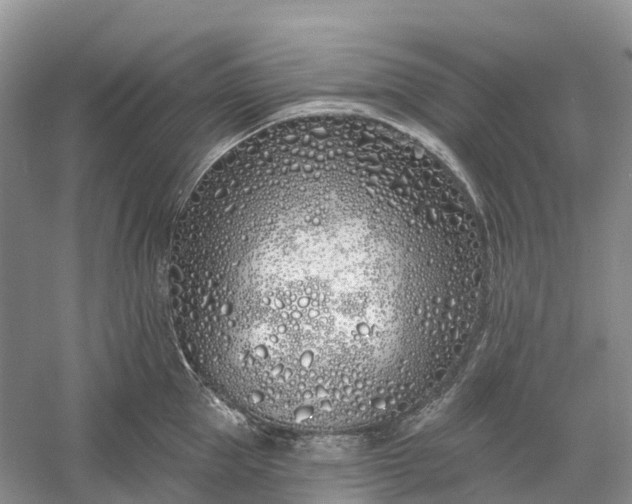 X0000060580953200511171654