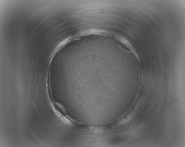 X0000060580954200511171654