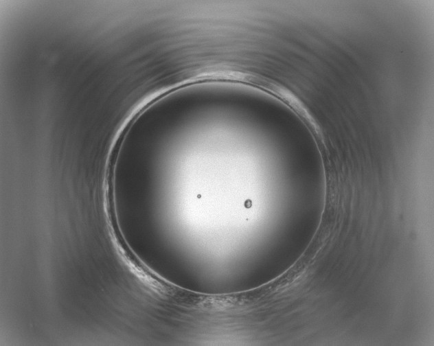 X0000060580955200511171654