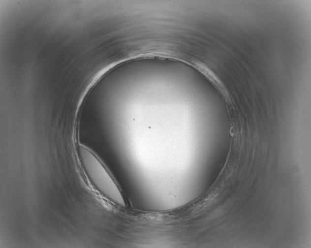 X0000060580956200511171654