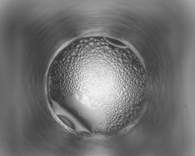 X0000060580957200511171654