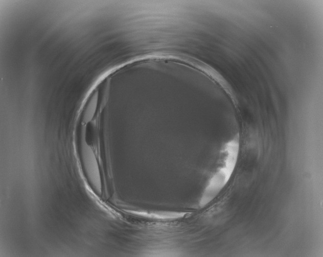 X0000060580958200511171654