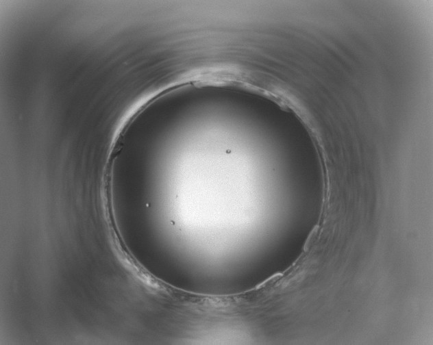 X0000060580960200511171654