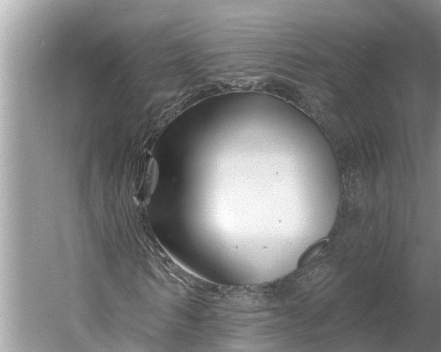 X0000060580962200511171653