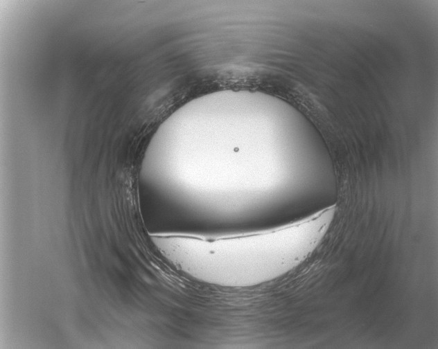 X0000060580964200511171653