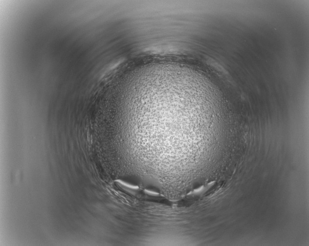 X0000060580966200511171653