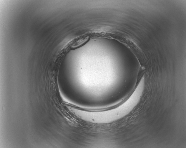 X0000060580968200511171653