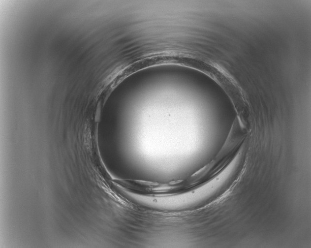 X0000060580969200511171653