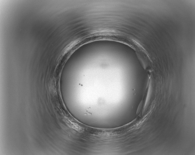 X0000060580970200511171653