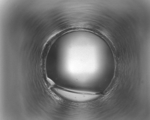 X0000060580971200511171653