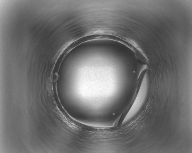 X0000060580972200511171653