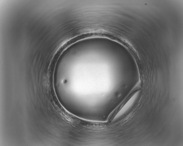 X0000060580975200511171653