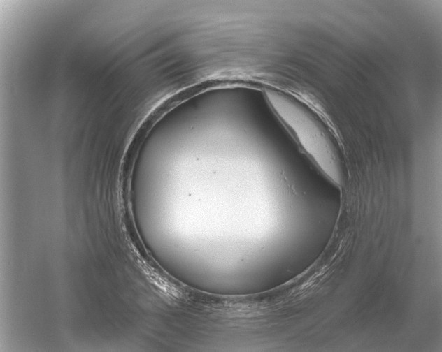 X0000060580976200511171653