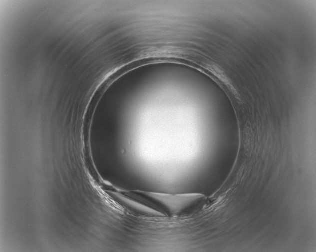 X0000060580980200511171653