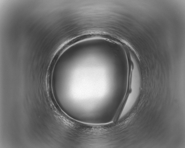 X0000060580983200511171653