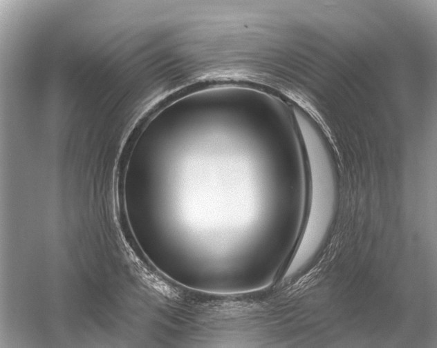 X0000060580984200511171653