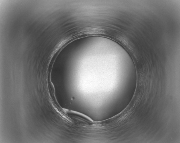 X0000060580986200511171653