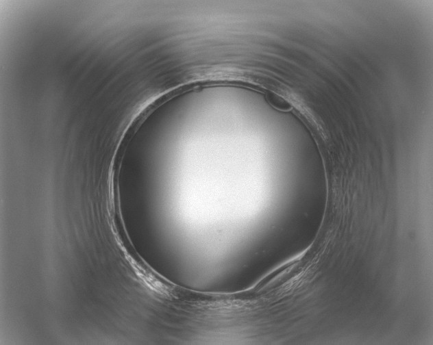 X0000060580988200511171653