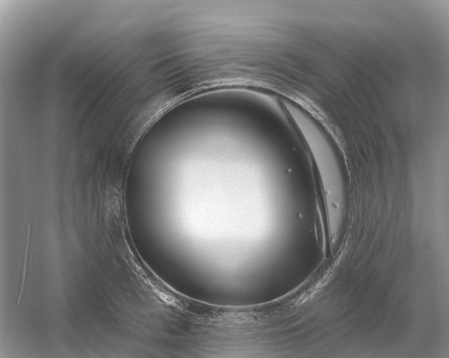 X0000060580993200511171653