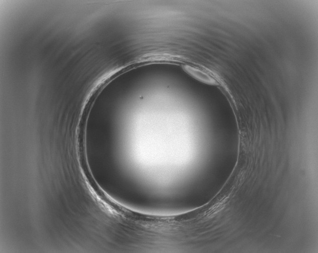 X0000060580995200511171653