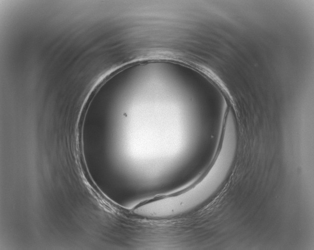 X0000060580996200511171653