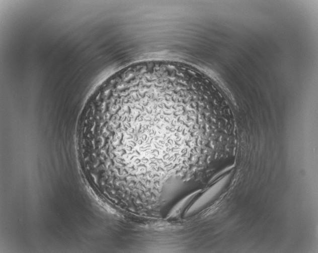 X0000060580998200511171653