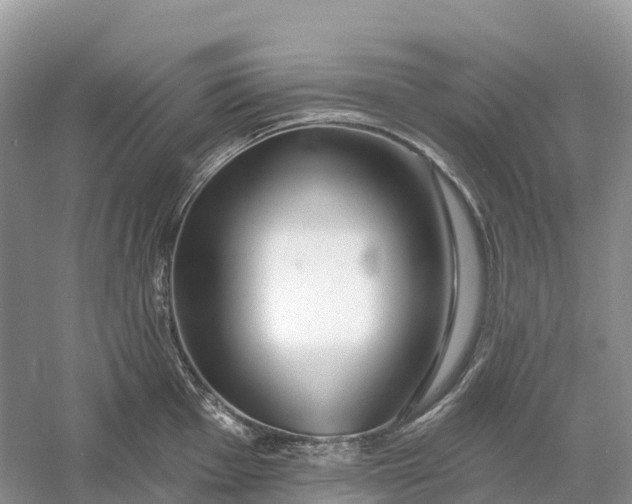 X0000060581001200511171652