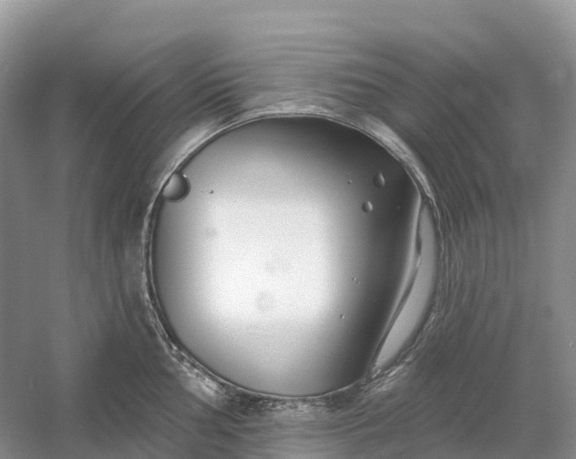 X0000060581002200511171652